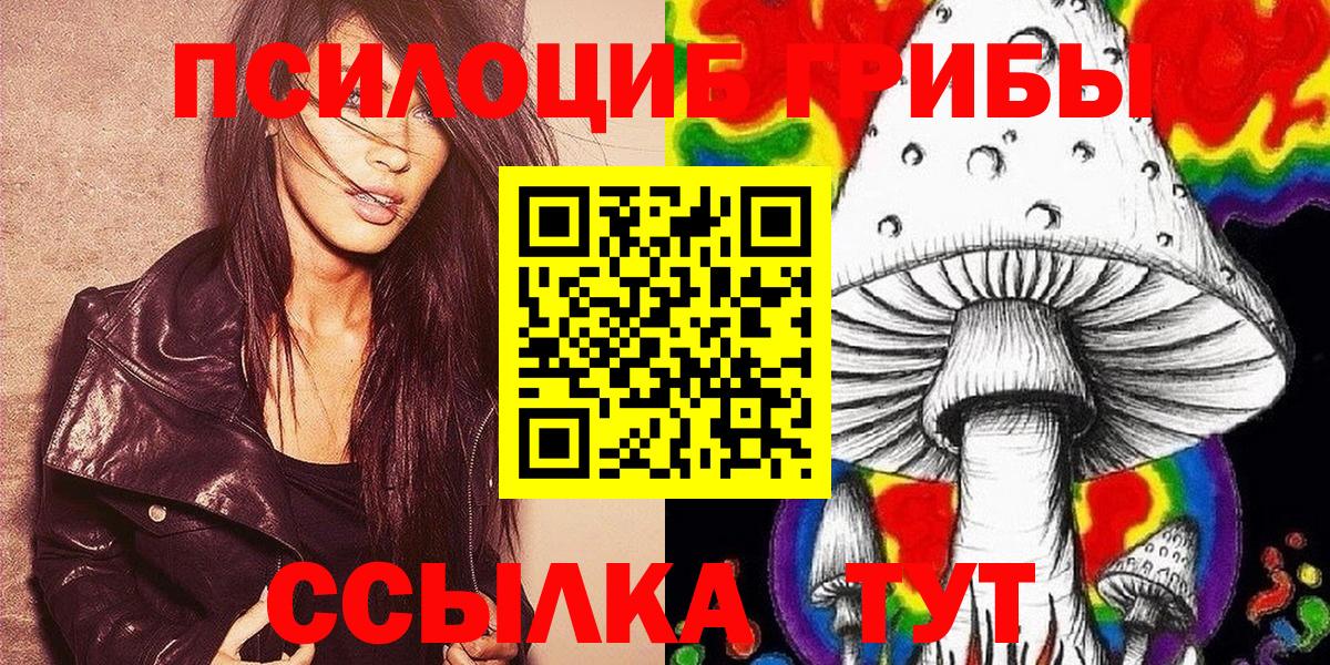 Галлюциногенные грибы Psilocybe  цены наркотик  Вход с VPN  Моршанск  Псилоцибиновые грибы MAGIC MUSHROOMS 