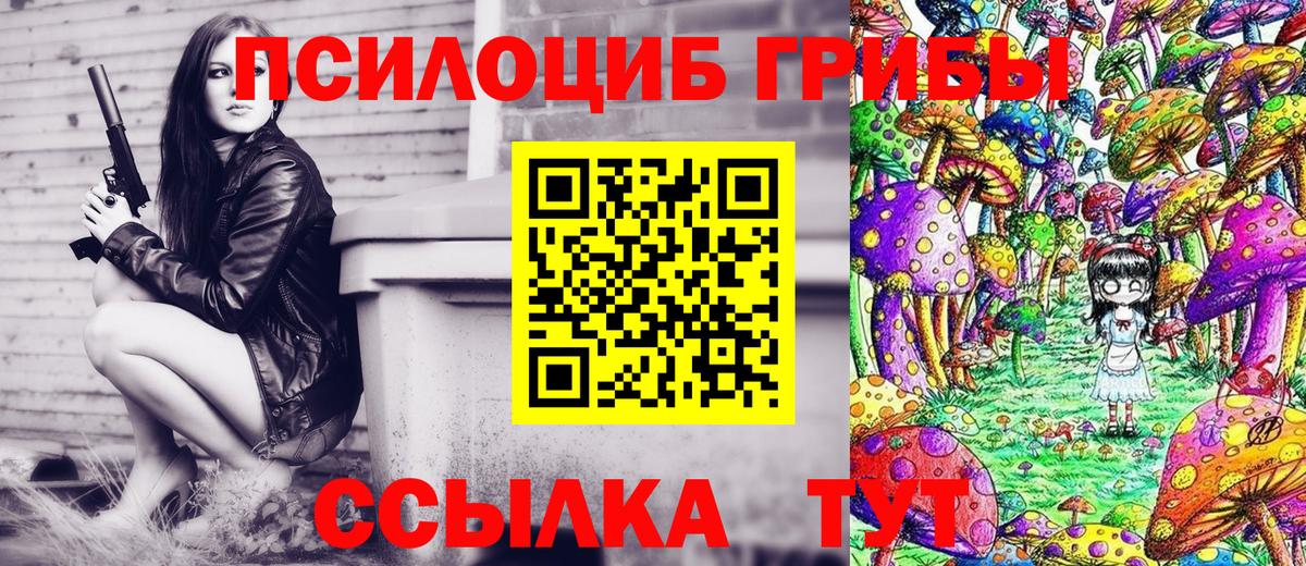 Псилоцибиновые грибы Psilocybe Моршанск